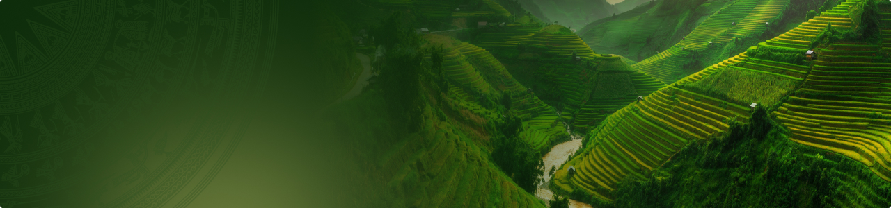 bg-travel