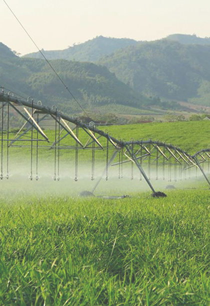 Dây chuyền đóng gói sữa TH true MILK hiện đại